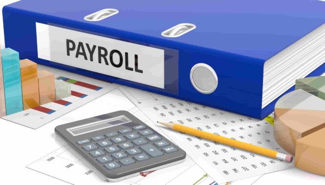 payroll software