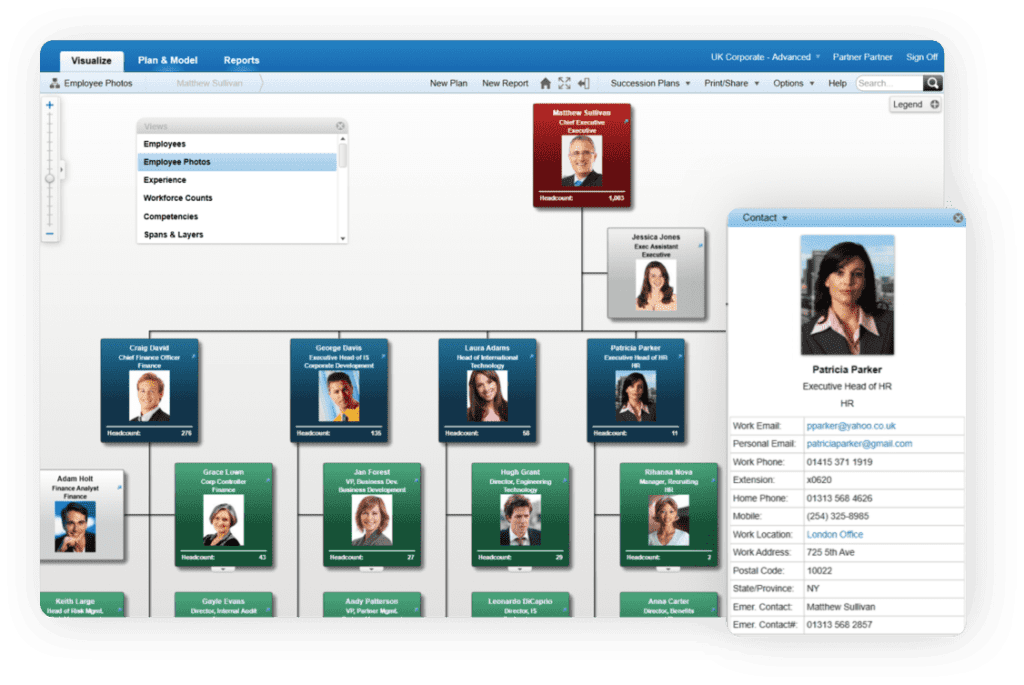 chart-organization-4