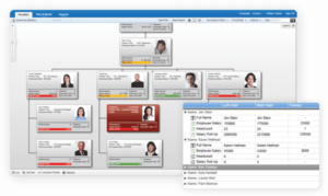 organization chart example